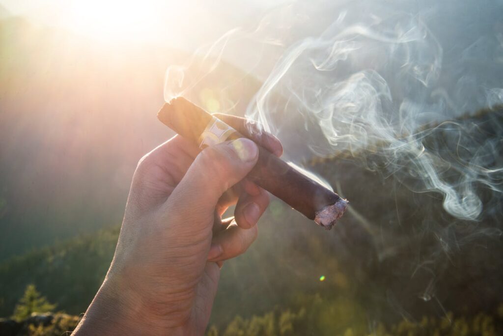 Como apagar um charuto corretamente sem estragar a experiência 2 charutos brasileiros